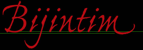 bijintim